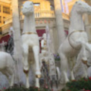 Meet your Posher, Soledad